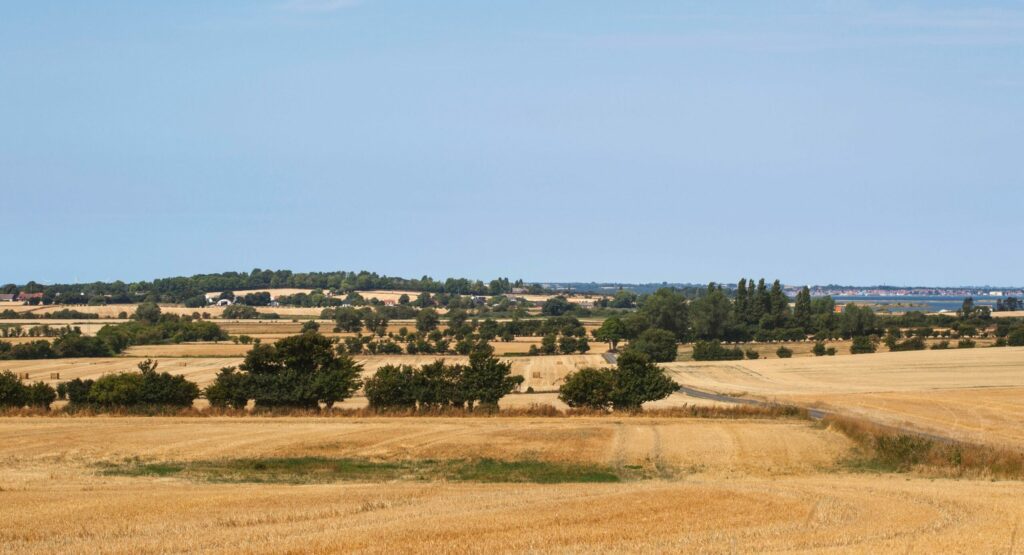 sommerhuse til udlejning ved Bagenkop på Langeland