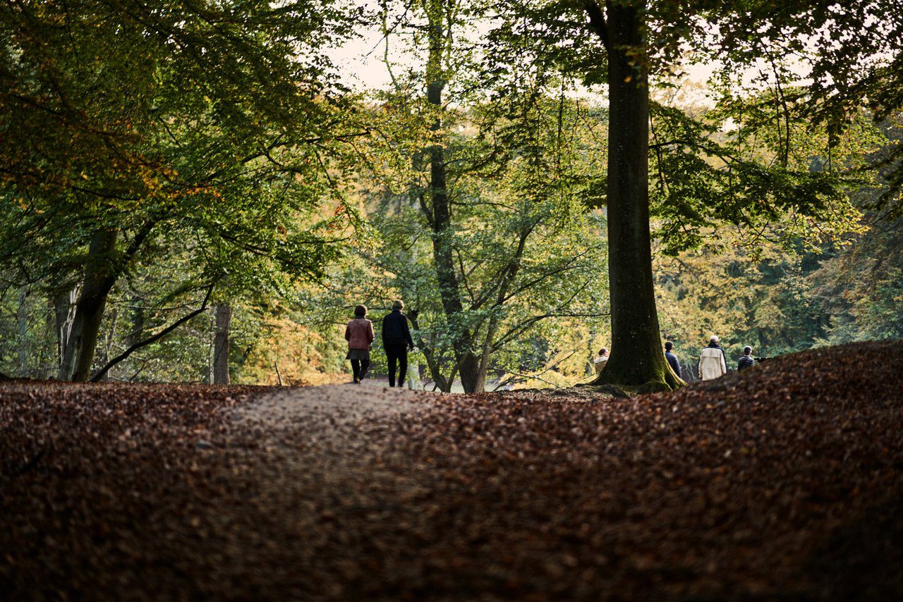 Efterår i Aarhus