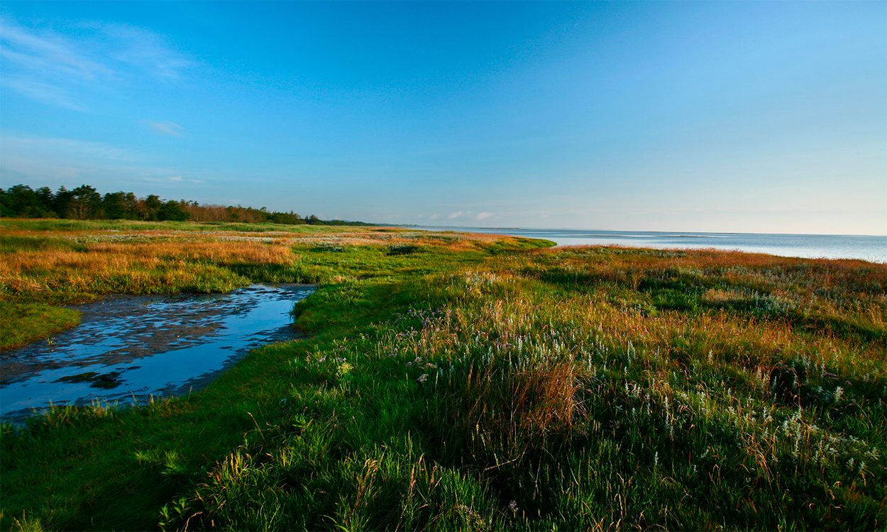 Djursland