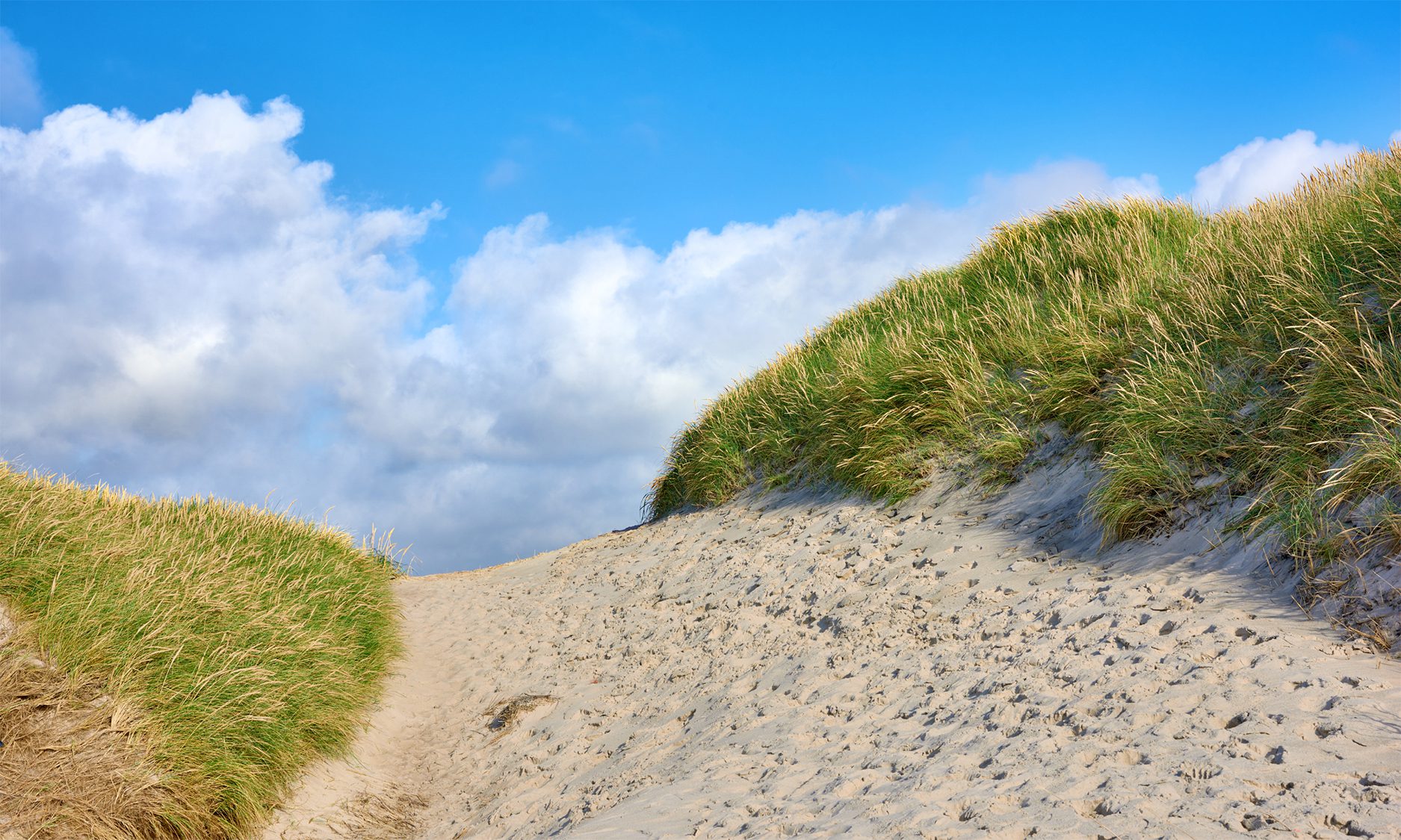 Vestjylland