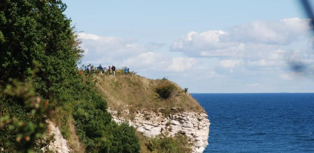 Stevns klint