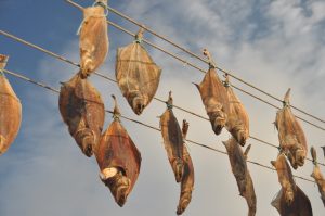 nyfångad fisk på torra linan