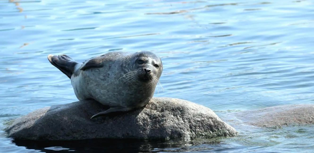 Nordsee Ozeanarium