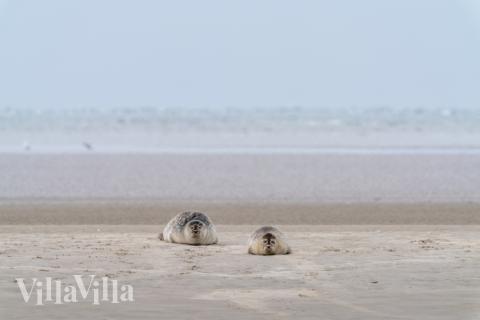 Besök lyxhus 179 i Sydjylland.