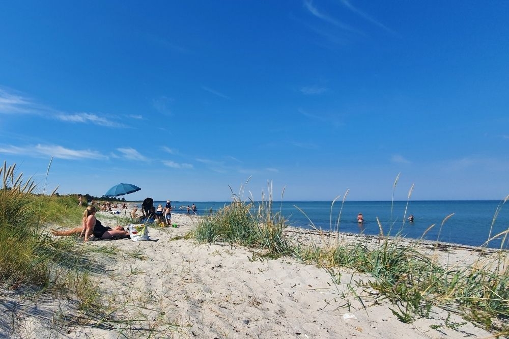Den vackra stranden i närheten av lyxhus 356 vid Østjylland.