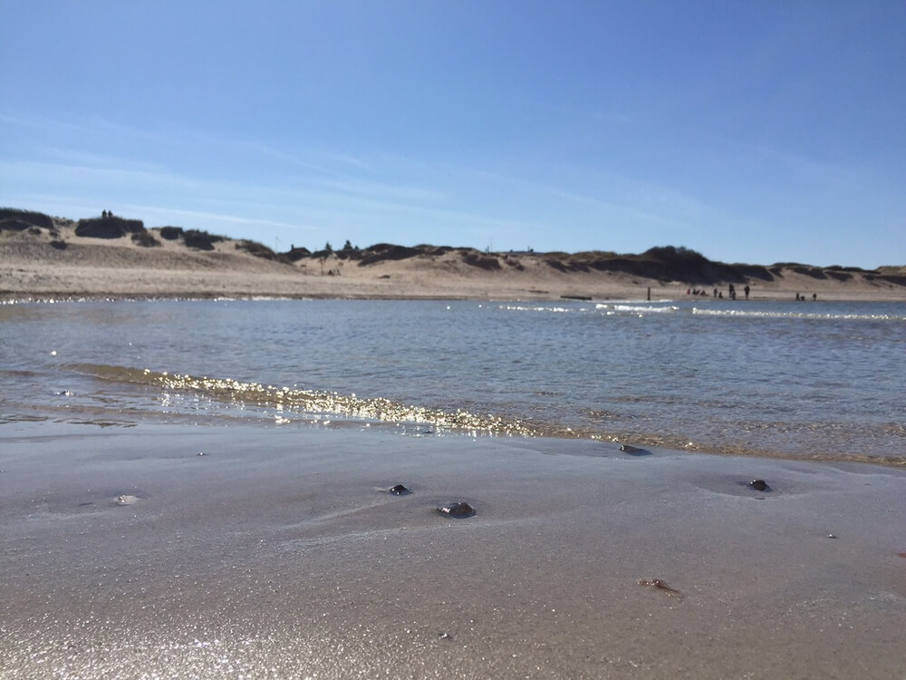 Den vackra stranden i närheten av lyxhus 362 vid Nordsjälland.