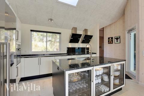 Välinrett kök i lyxstuga nr 384 i Nordsjälland.