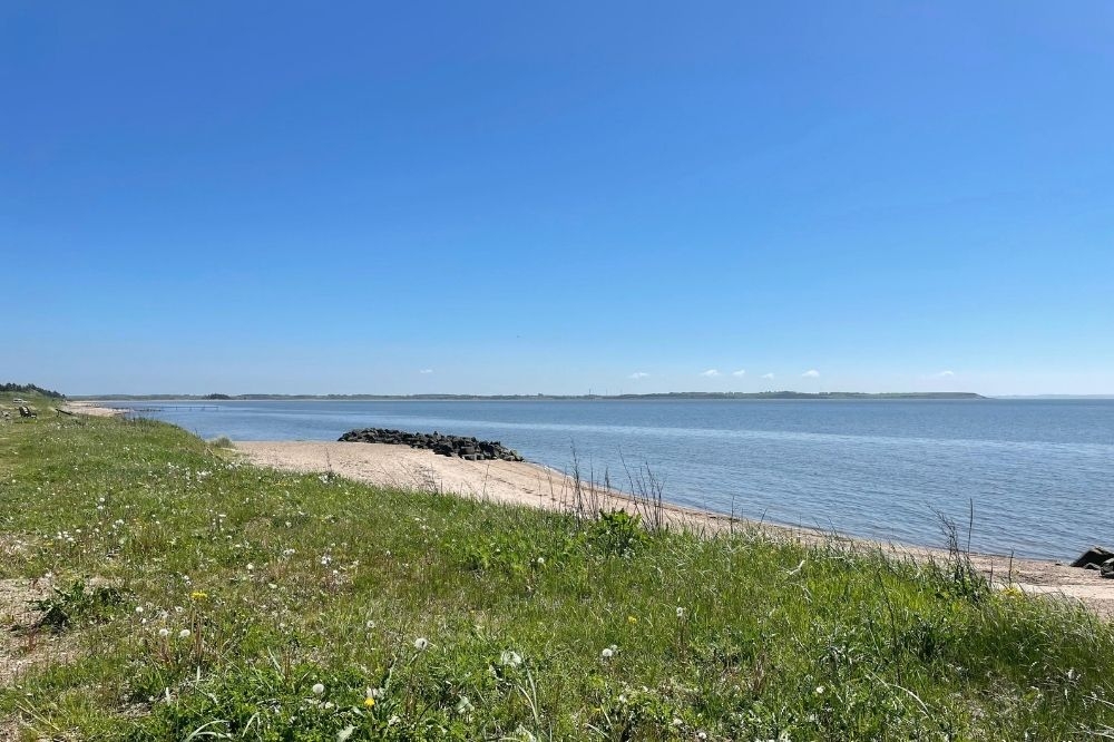 Den vackra stranden i närheten av lyxhus 404 vid Limfjorden.