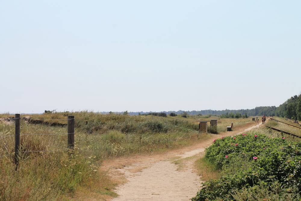 Stranden i närheten av lyxhus 413 i Lolland/Falster/Møn bjuder in till en promenad.