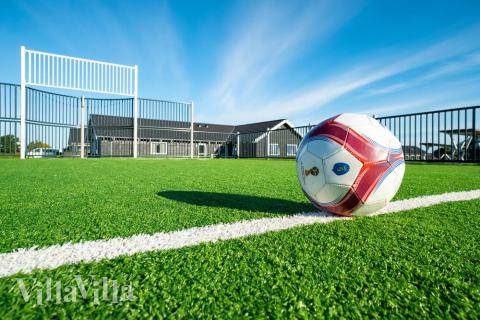 Förutom de många timmar som du kan tillbringa i stugans poolavdelning erbjuder lyxstuga 430 även många utomhusaktiviteter