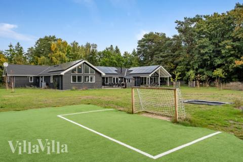 Till den trevliga sommarstugan nr 438 i Nordsjälland erbjuds en mängd utomhusaktiviteter, t.ex. lektorn och gungor