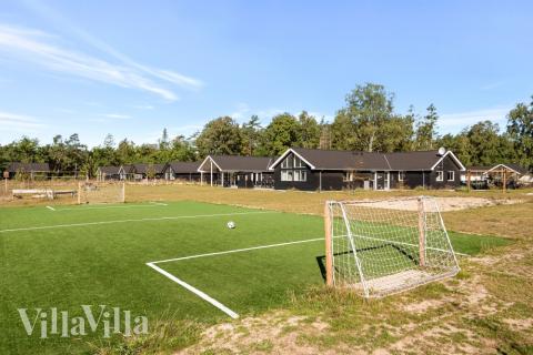 Till den trevliga sommarstugan nr 436 i Nordsjälland erbjuds en mängd utomhusaktiviteter, t.ex. lektorn och gungor