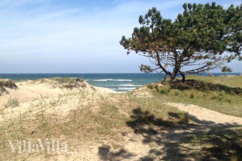 Stranden i närheten av lyxhus 436.