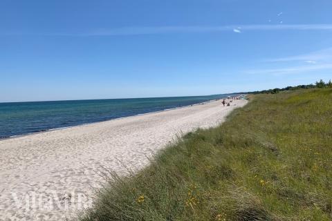 Den vackra stranden i närheten av lyxhus 509 vid Lolland/Falster/Møn.