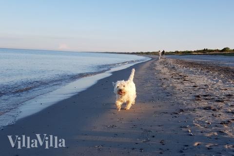 Stranden i närheten av lyxhus 515.