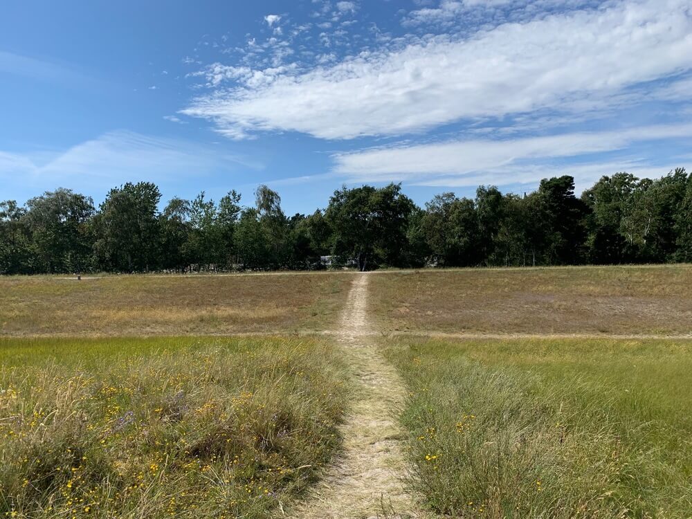 Den vackra stranden i närheten av lyxhus 507 vid Lolland/Falster/Møn.