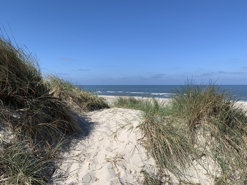 Stranden i närheten av lyxhus 536.