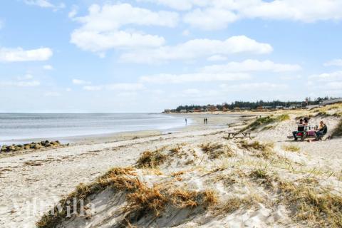 Det vackra området Østjylland bjuder in till en vistelse i lyxhus nummer 581.