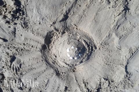 Den vackra stranden i närheten av lyxhus 601 vid Sydjylland.