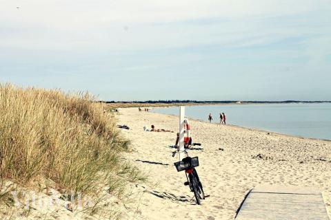 Den vackra stranden i närheten av lyxhus 615 vid Nordjylland.