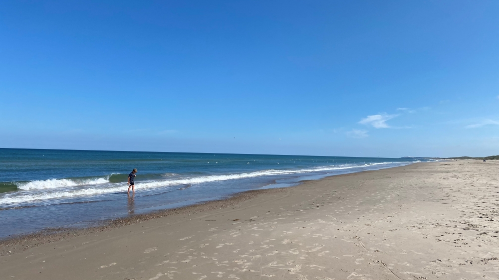 Den vackra stranden i närheten av lyxhus 651 vid Nordjylland.