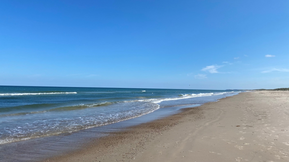 Stranden i närheten av lyxhus 651.