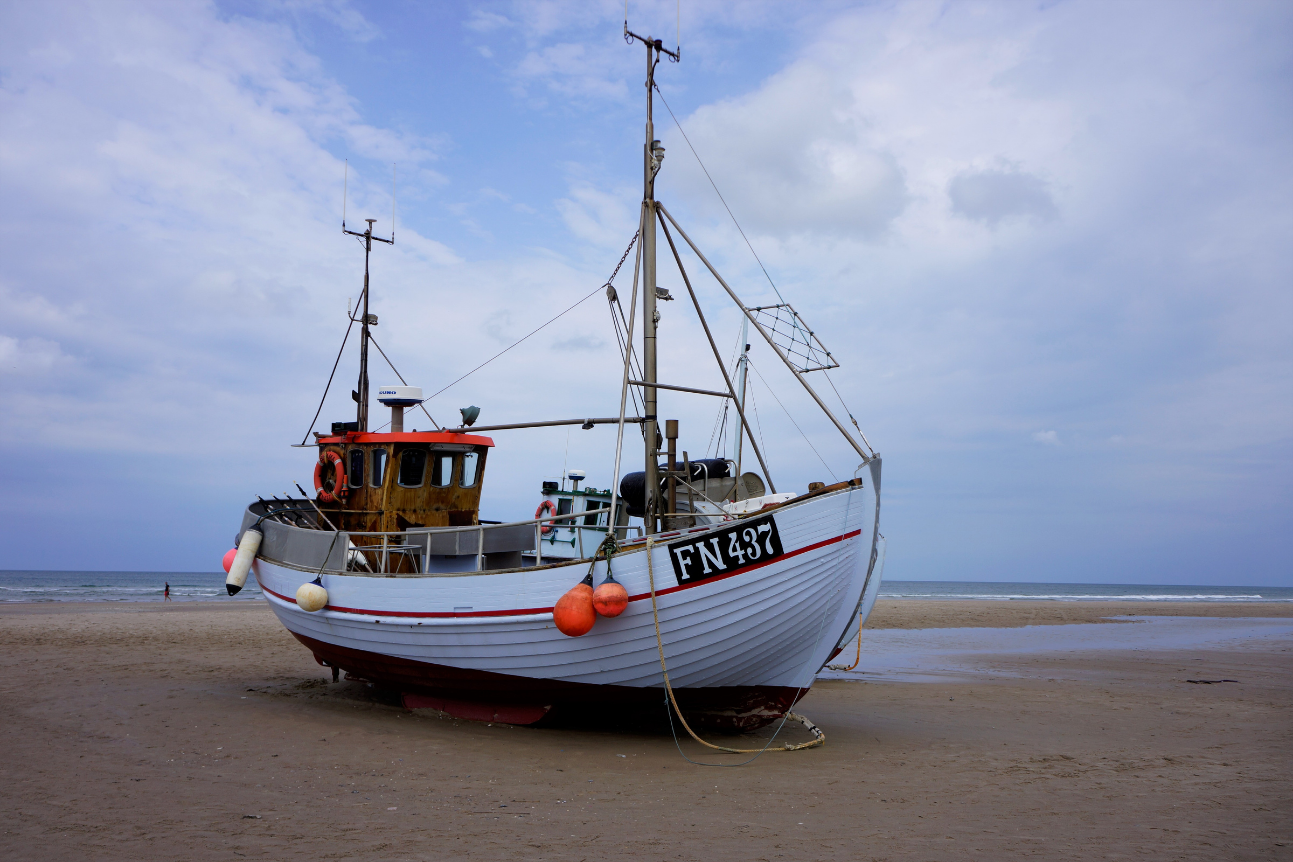Den vackra stranden i närheten av lyxhus 669 vid Nordjylland.