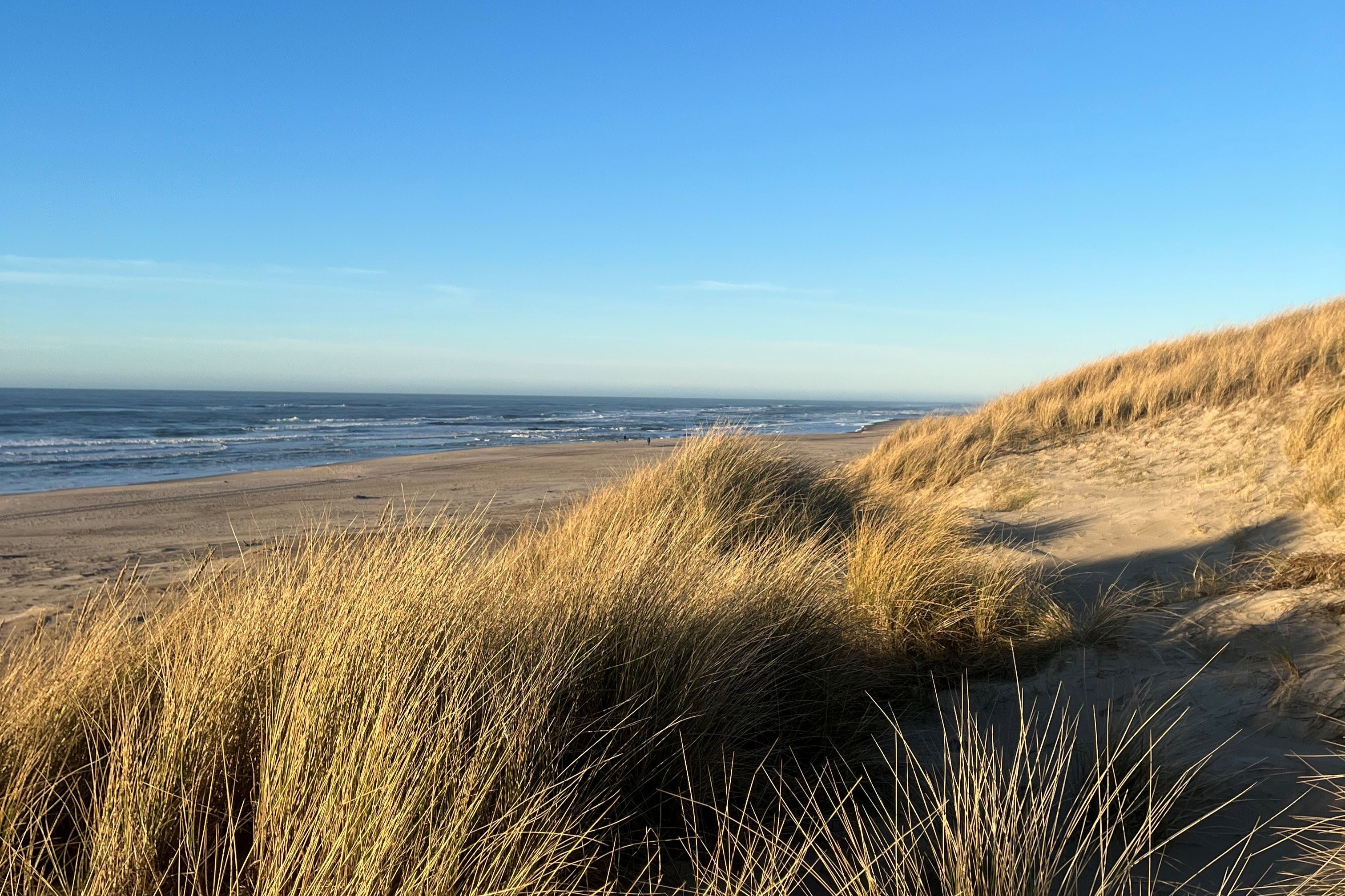 Stranden i närheten av lyxhus 672 i Vestjylland bjuder in till en promenad.