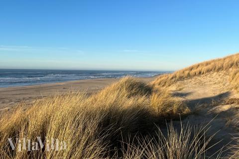 Stranden i närheten av lyxhus 672.