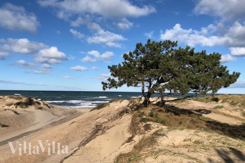 Stranden i närheten av lyxhus 693.