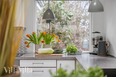 Välinrett kök i lyxstuga nr 339 i Nordsjälland.