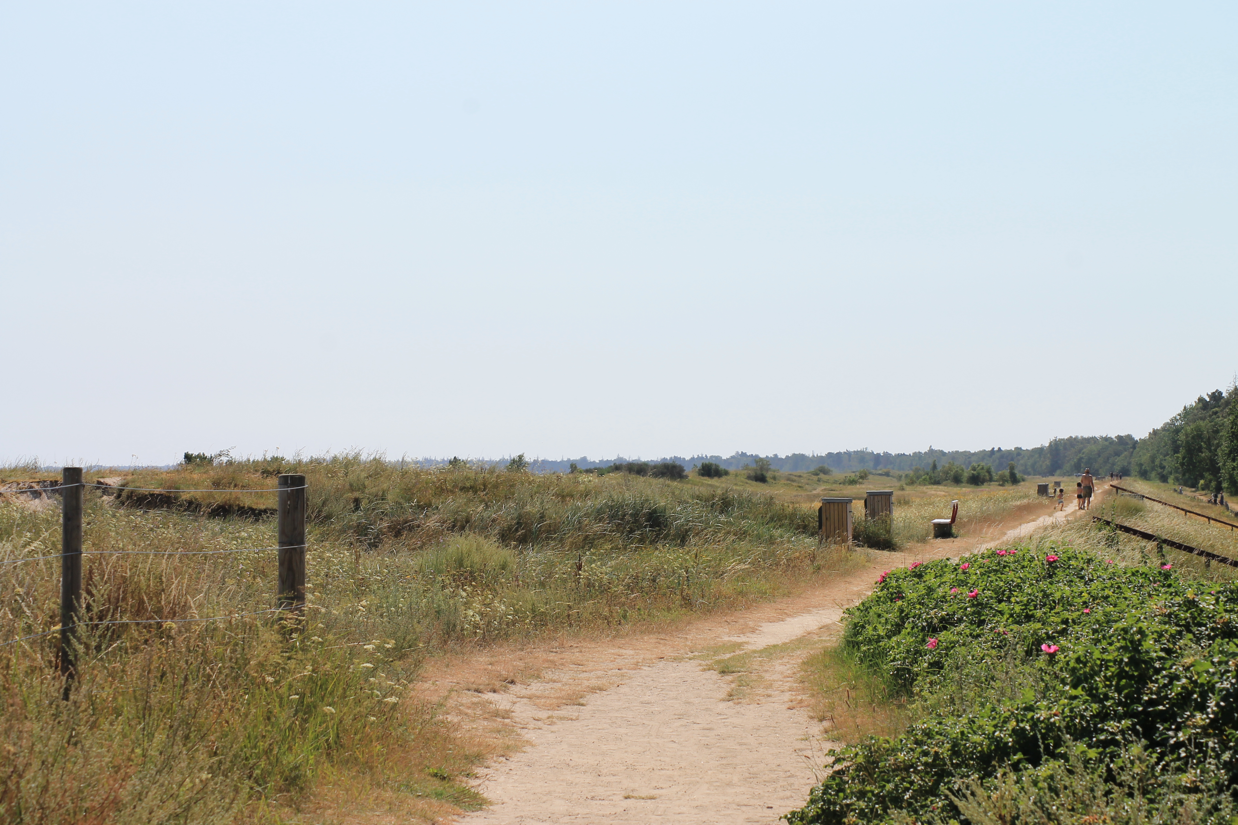 Den vackra stranden i närheten av lyxhus 689 vid Lolland/Falster/Møn.