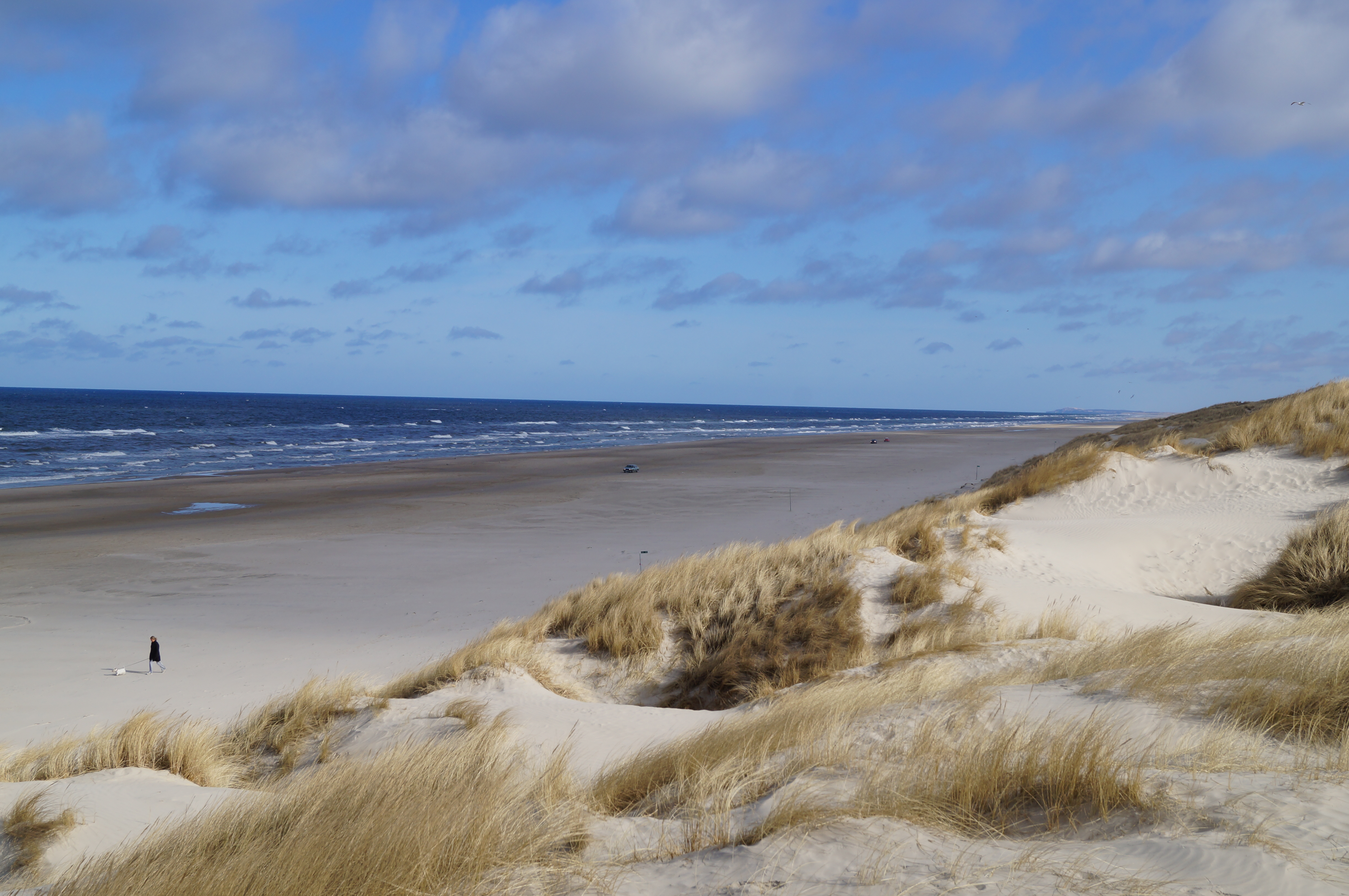 Den vackra stranden i närheten av lyxhus 909 vid Nordjylland.