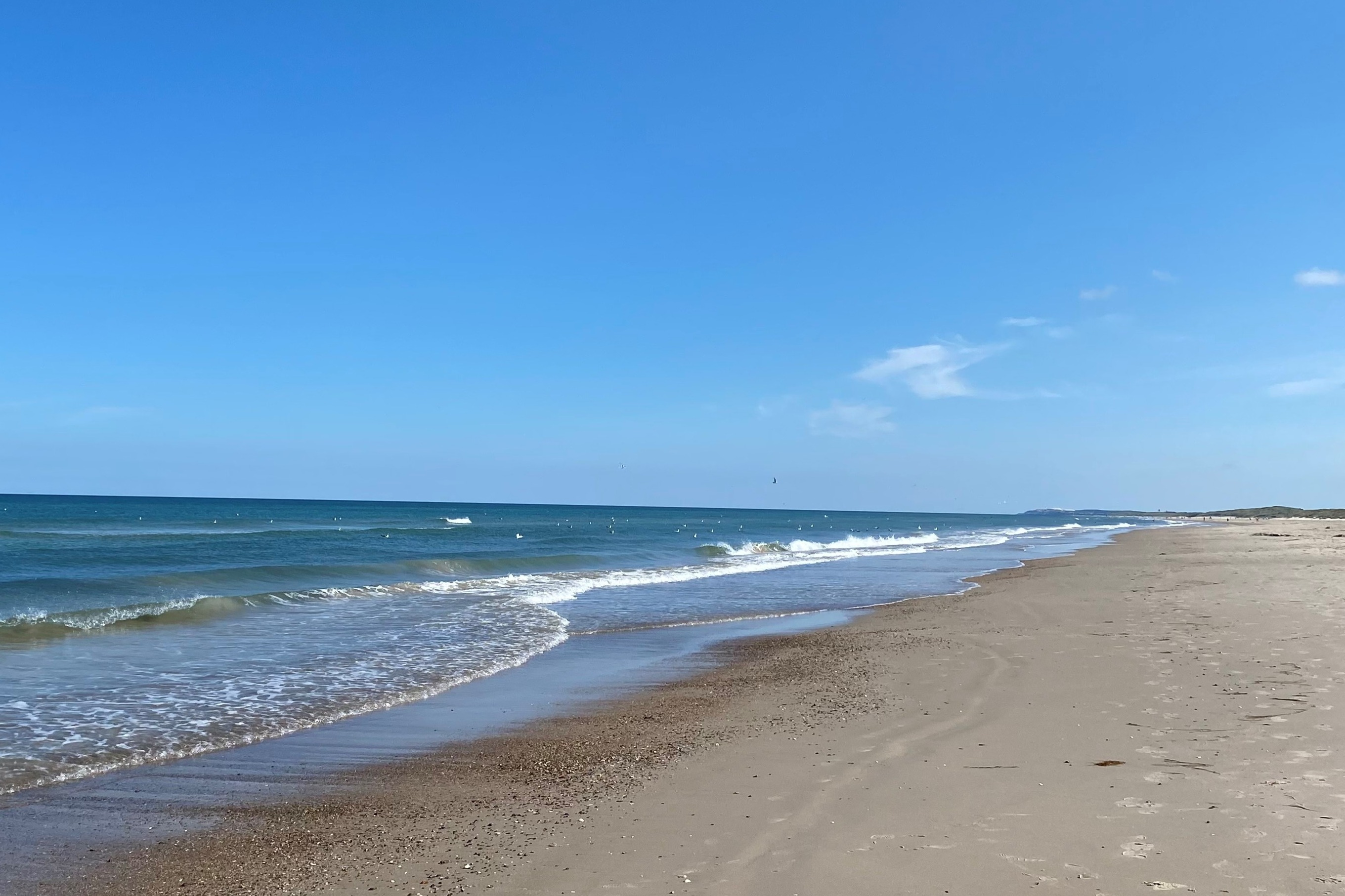 Stranden i närheten av lyxhus 683.