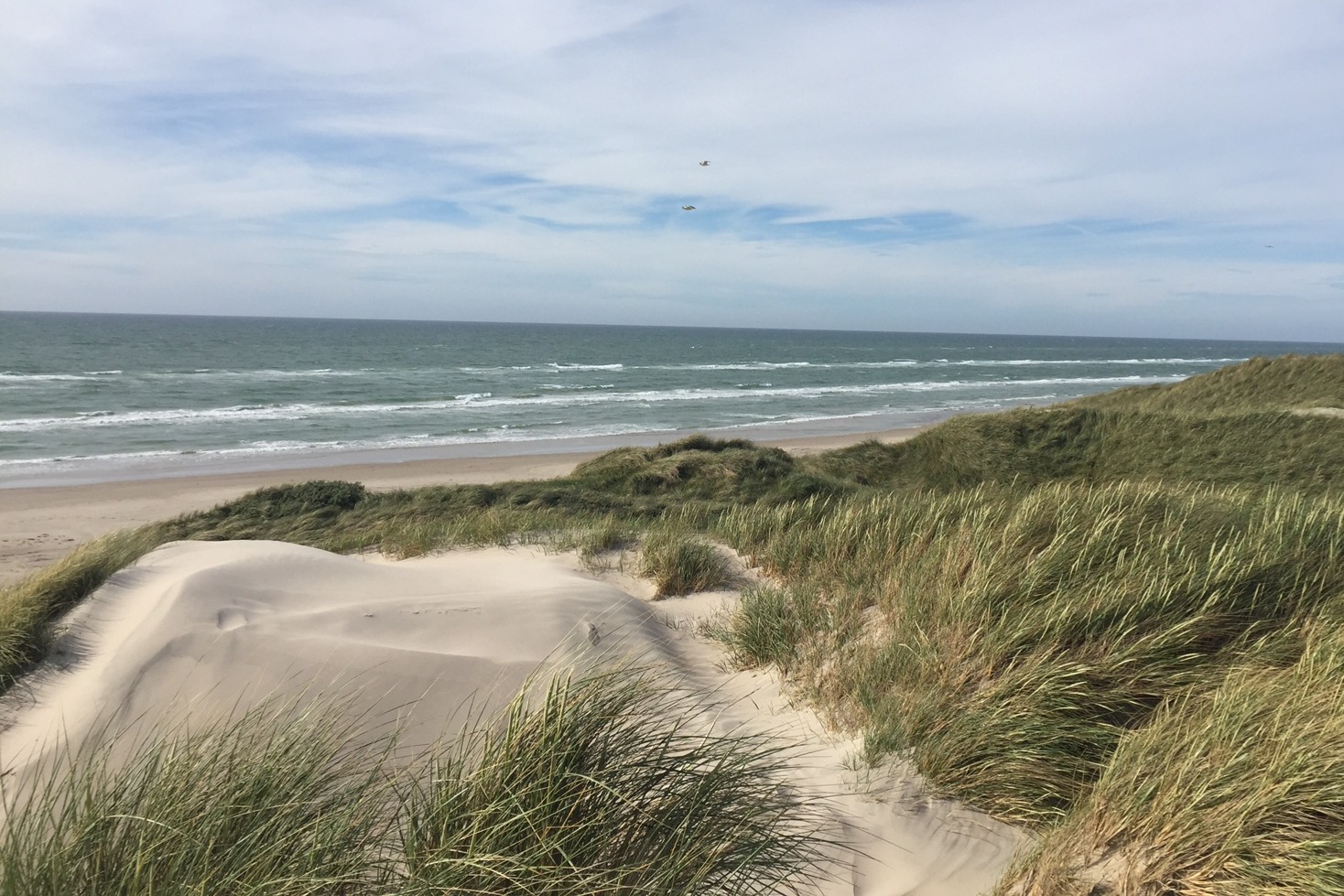 Besök lyxhus 683 i Nordjylland.