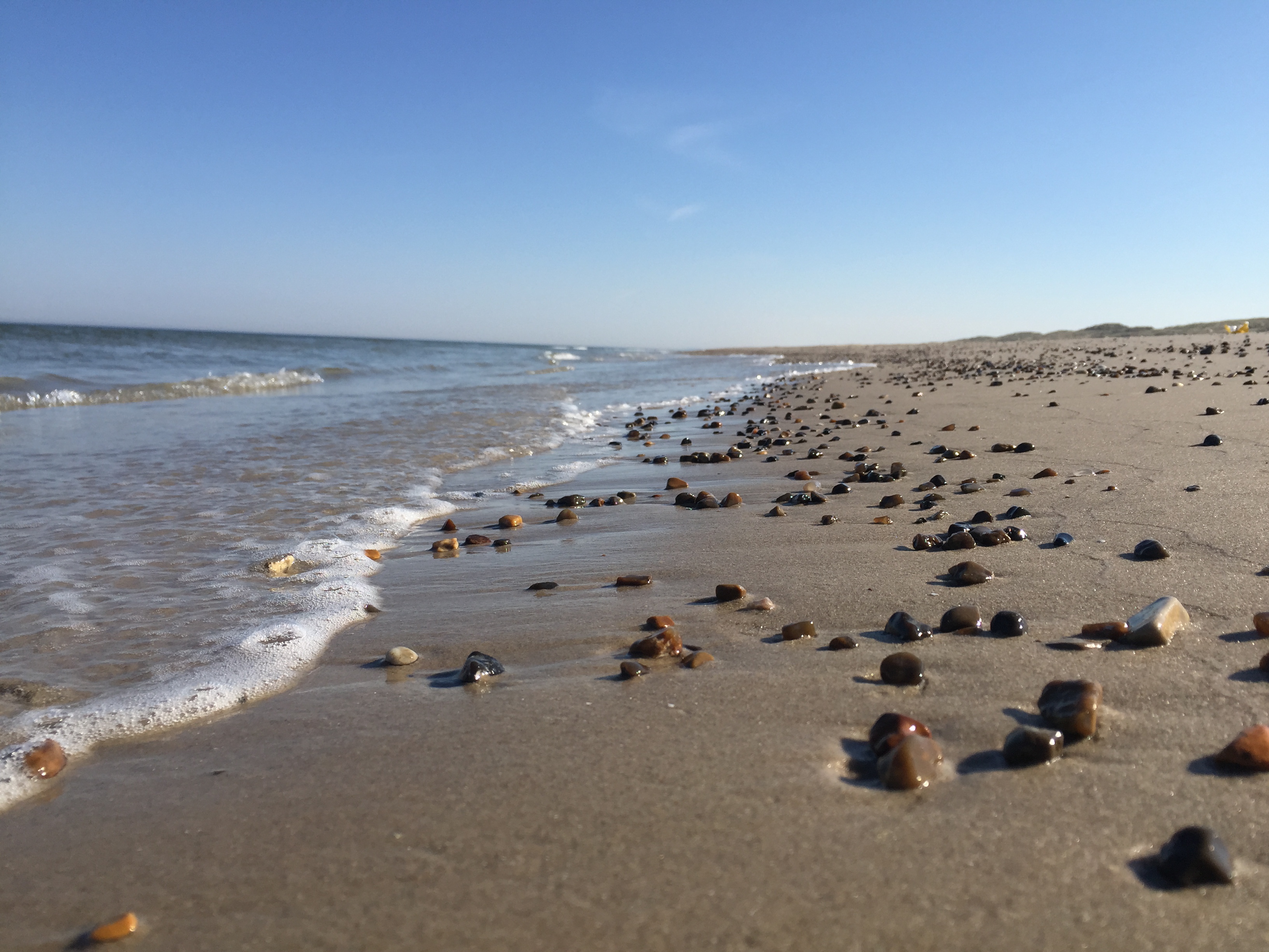 Den vackra stranden i närheten av lyxhus 902 vid Nordjylland.