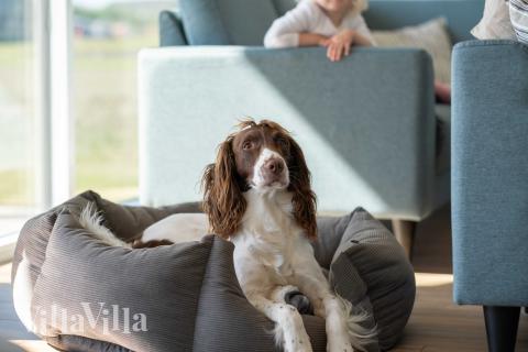 I soffhörnan i lyxstuga 696 i Fyn och öar kan ni spela brädspel eller titta på film tillsammans.