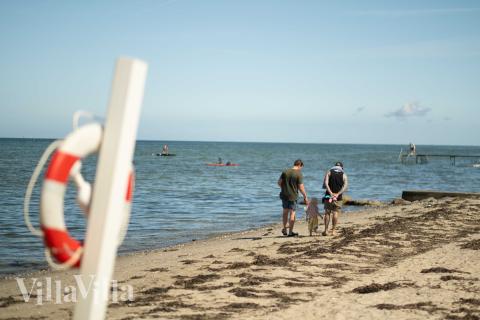 Den vackra stranden i närheten av lyxhus 696 vid Fyn och öar.