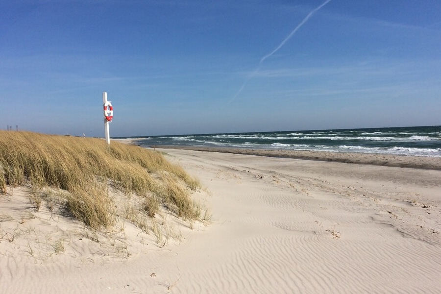 Stranden i närheten av lyxhus 441 i Østjylland med plats för 26 personer.