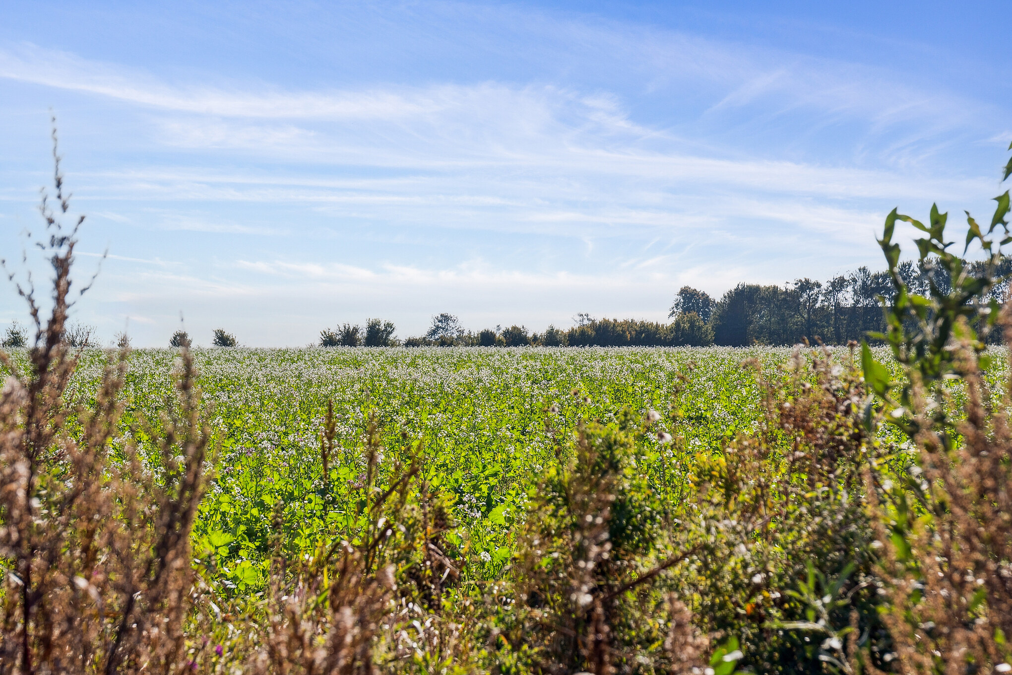 Det vackra området Fyn och öar bjuder in till en vistelse i lyxhus nummer 617.