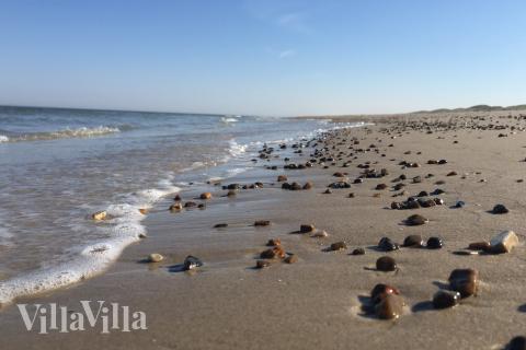 Stranden i närheten av lyxhus 902.