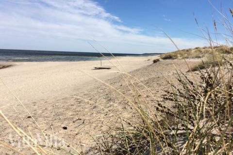 Stranden i närheten av lyxhus 351.