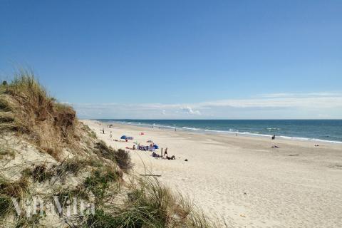 Stranden i närheten av lyxhus 273.