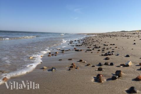 Den vackra stranden i närheten av lyxhus 959 vid Nordjylland.