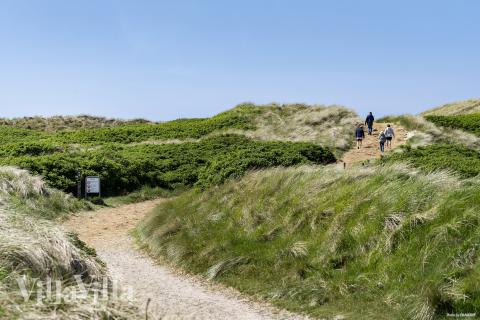 Den vackra stranden i närheten av lyxhus 675 vid Vestjylland.