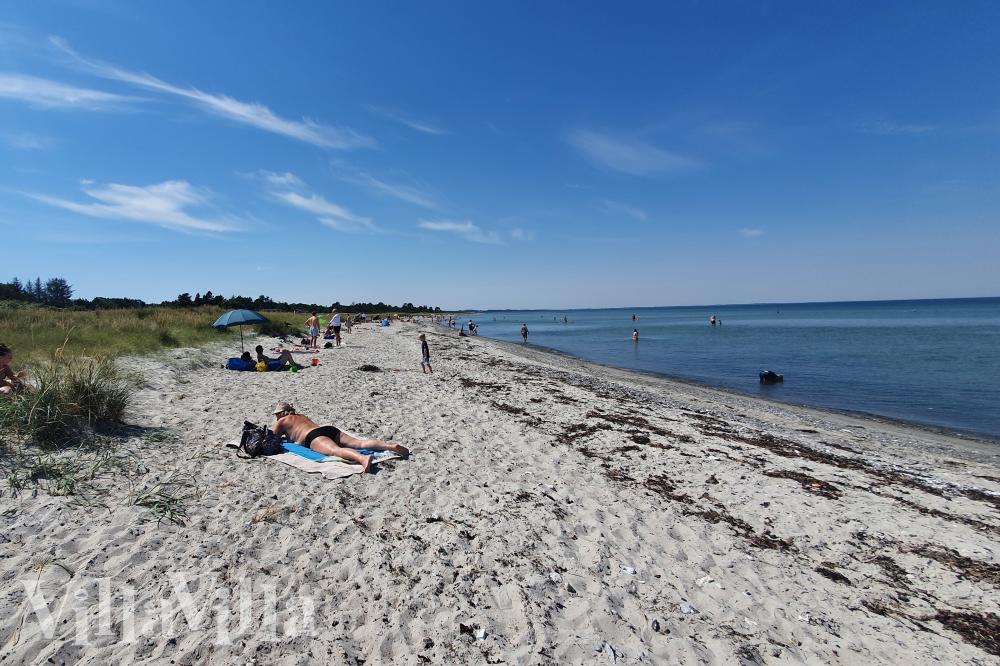 Stranden i närheten av lyxhus 1014.